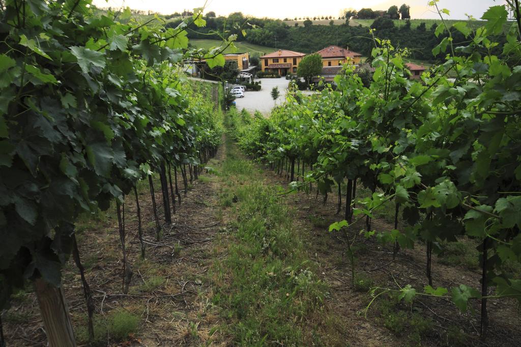 Agriturismo Gaggioli Borgo Delle Vigne Цола-Предоза Екстер'єр фото