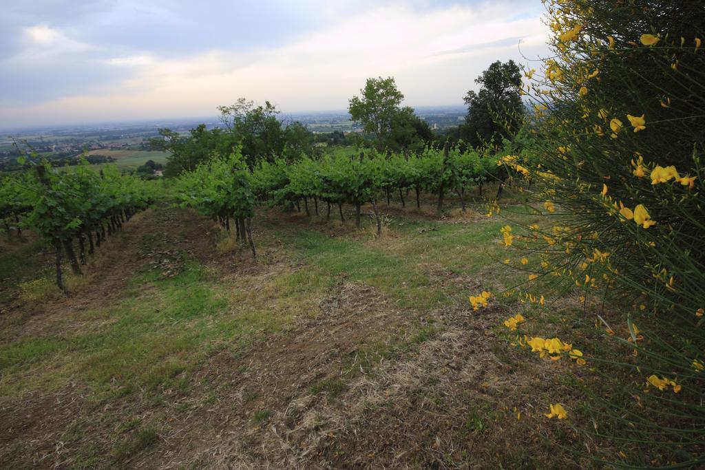 Agriturismo Gaggioli Borgo Delle Vigne Цола-Предоза Екстер'єр фото