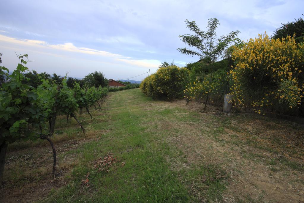 Agriturismo Gaggioli Borgo Delle Vigne Цола-Предоза Екстер'єр фото