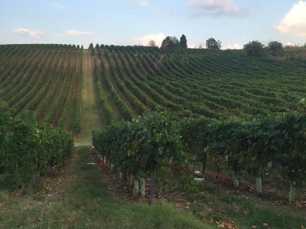 Agriturismo Gaggioli Borgo Delle Vigne Цола-Предоза Екстер'єр фото